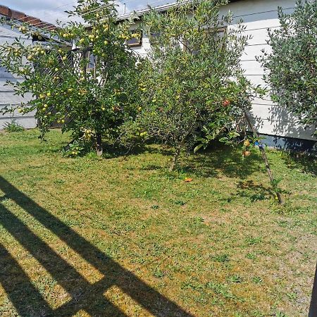 Gibson Court Motel Rotorua Luaran gambar